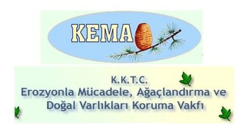 KEMA: “Beşparmak ormanları Orman Dairesi’ndeki eksikler yüzünden büyük yangın riski altında”
