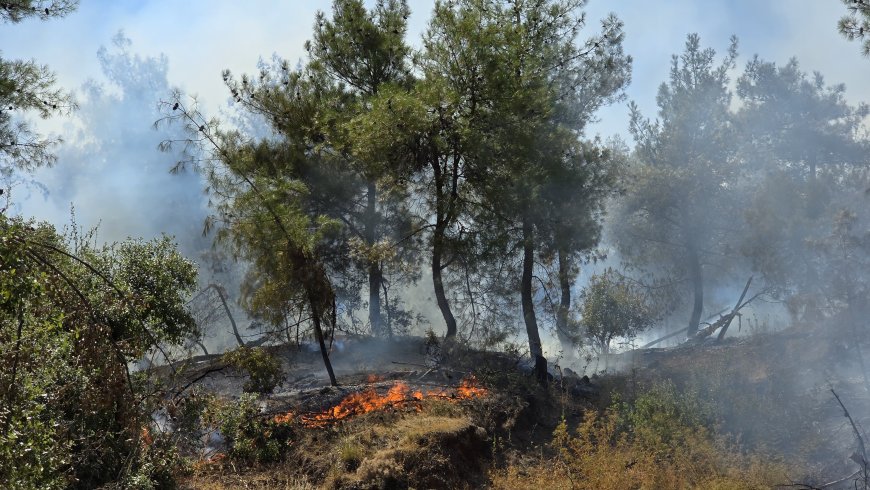 Hatay'da çıkan orman yangınına müdahale ediliyor