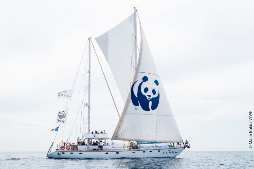 Blue Panda, Akdeniz’in doğal güzellikleri için yelken açtı