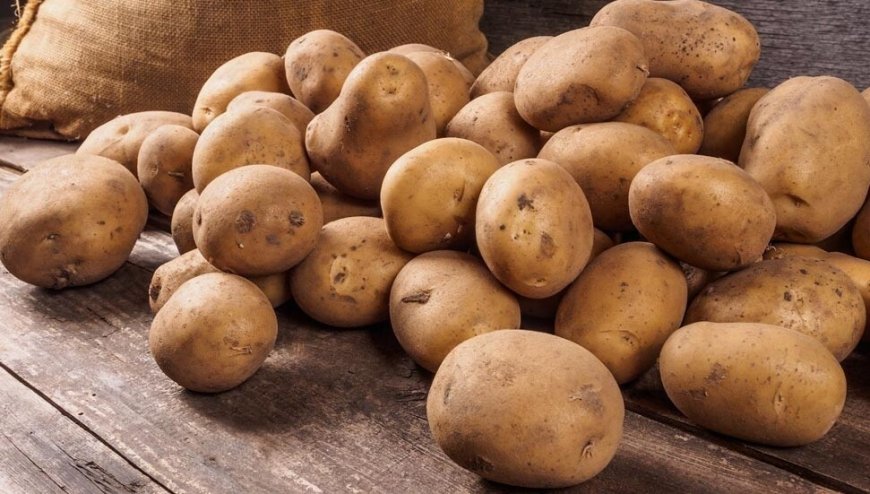 İlkbahar patates satışları yarından itibaren başlıyor