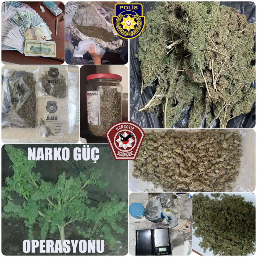 4 Kilo 600 gram ağırlığında hintkeneviri ele geçirildi: 9 kişi tutuklandı
