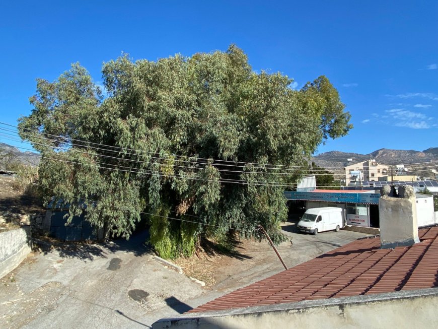 Değirmenlik’te 10 Saatlik Elektrik Kesintisi: Mahalle Sakinleri Mağdur