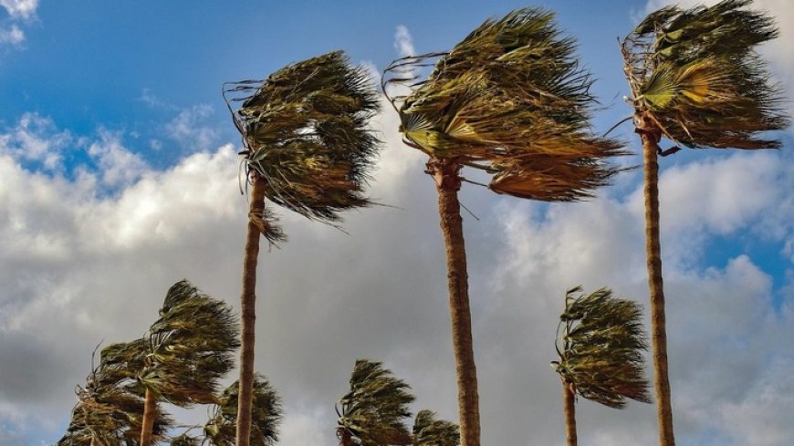 Meteoroloji Dairesi uyardı: Karada ve denizde fırtınamsı rüzgar bekleniyor