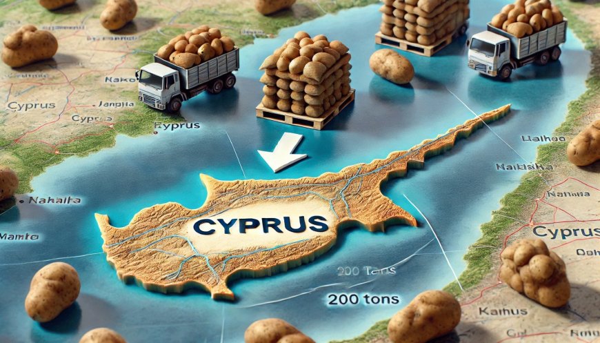 Gelecek hafta ülkeye 200 ton ithal patates gelecek