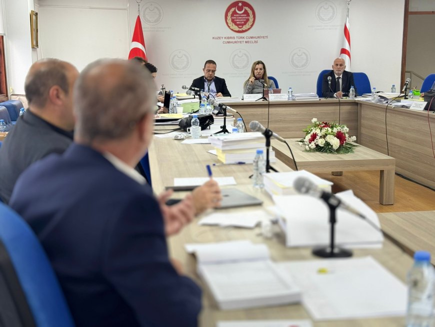 Komitede Türk Ajansı Kıbrıs ve Sivil Savunma Teşkilat Başkanlığı bütçeleri kabul edildi