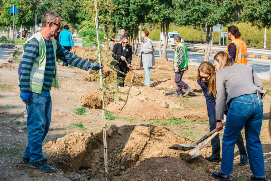 Dünya Toprak Günü’nde ağaç dikimi
