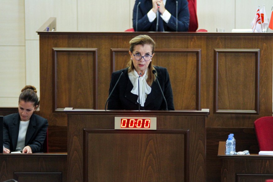 Meclis’te “2025 Mali Yılı Merkezi Devlet Yönetimi Bütçe Yasa Tasarısı” görüşülüyor...