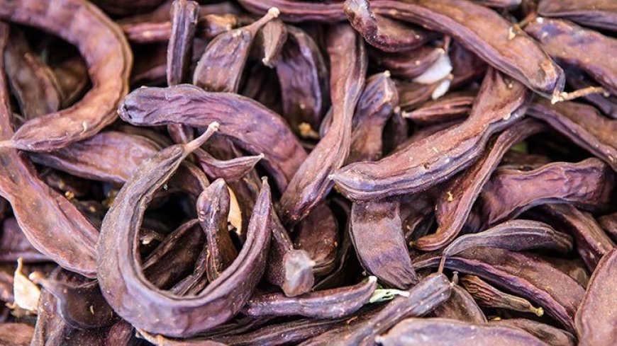 EZKOOP harup üreticileri ile bir araya geliyor