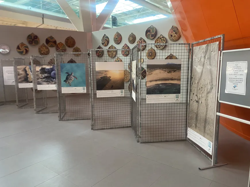 SPOT Marine Life, Kıbrıs'ın deniz kaplumbağalarını havalimanında tanıtıyor