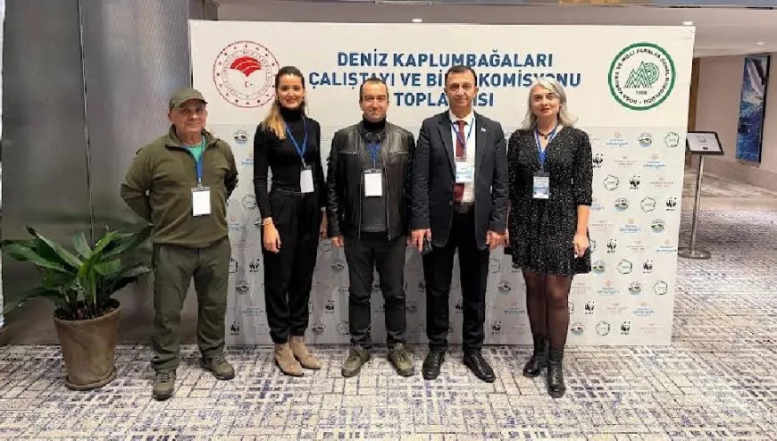 Deniz Kaplumbağaları İçin Bilimsel Umut: Meritta'nın Çalışmaları