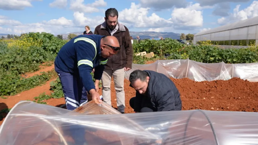 Don Felaketi İçin Acil Önlem: Tarım Bakanlığı Harekete Geçti!