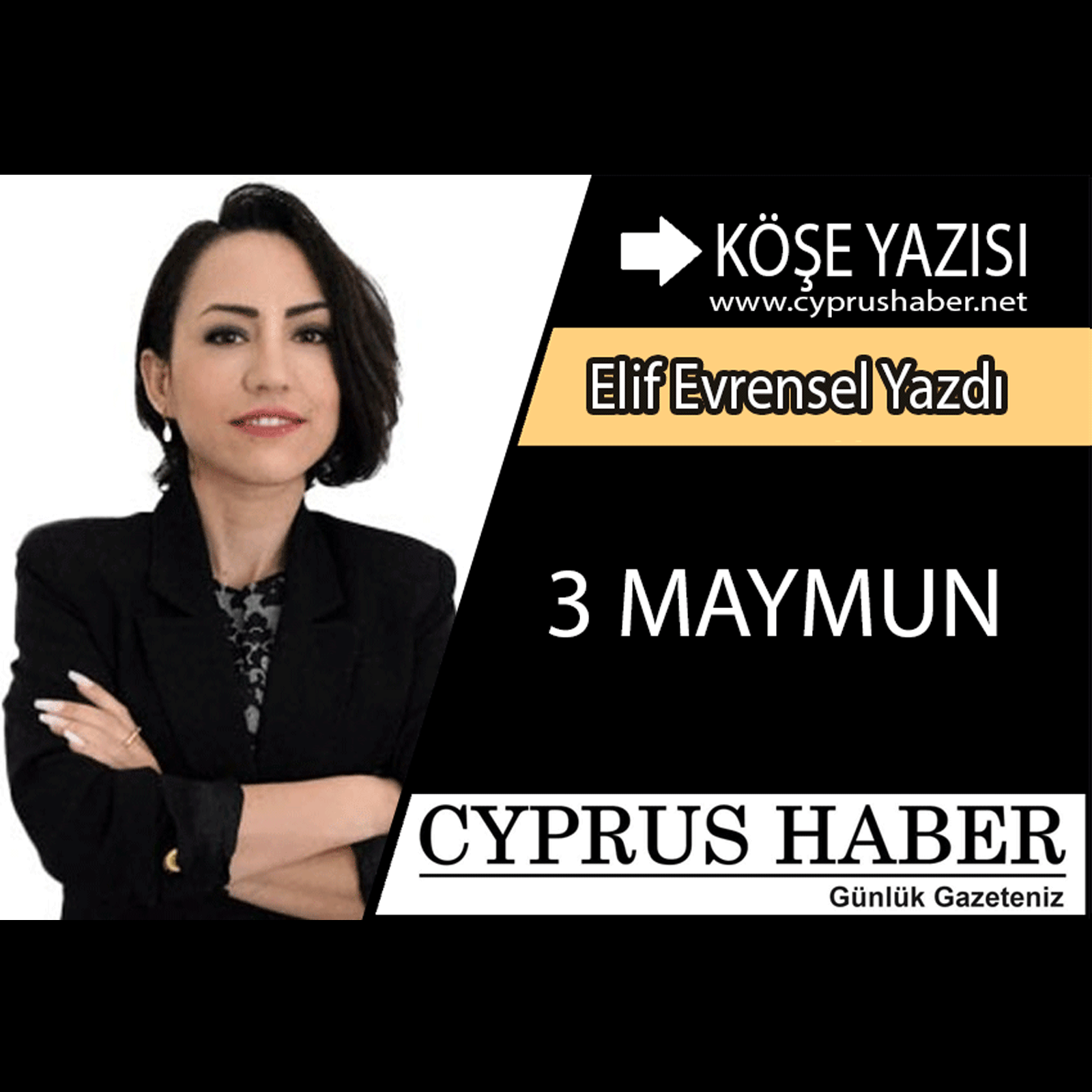 3 MAYMUN