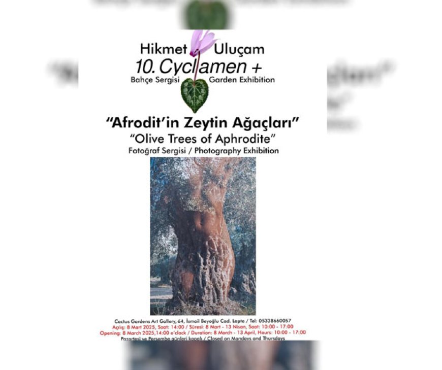 Hikmet Uluçam’ın bahçe sergisinin 10’uncusu yarın başlıyor
