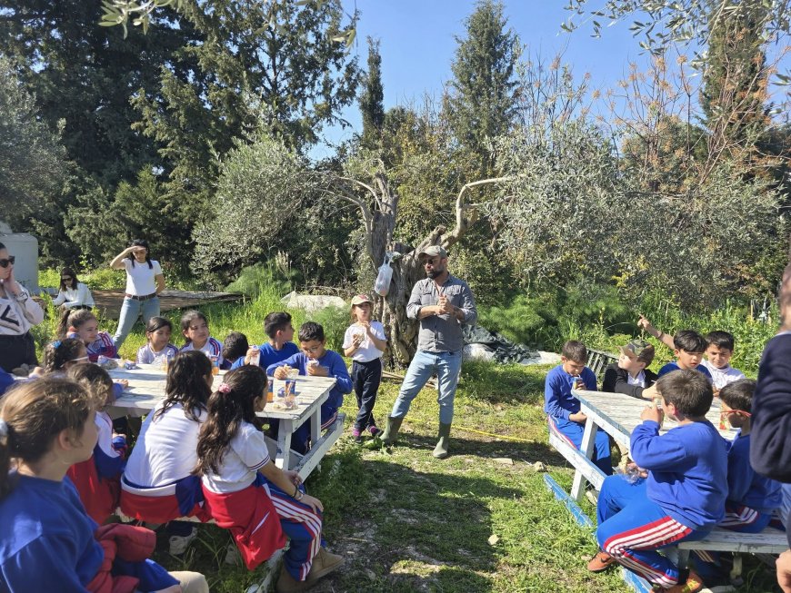 Girne Gençlik Meclisi İnisiyatifi’nin tohum ekimi ve sebze yetiştirme çalışmaları devam ediyor