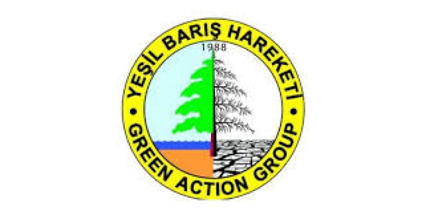 Yeşil Barış Hareketi’nden Dünya Ormancılık Günü çağrısı: "Geleceğin için bir fidan da sen dik"