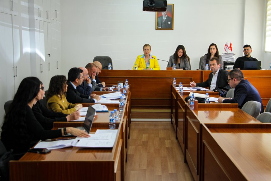 Ekonomi, Maliye, Bütçe ve Plan Komitesi, iki yasa tasarısını ele aldı