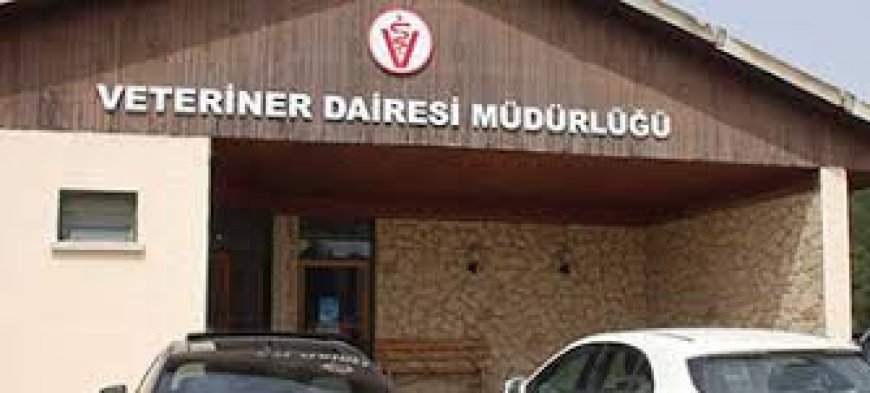 Veteriner Dairesi’nden hayvan kesimi ile ilgili uyarı