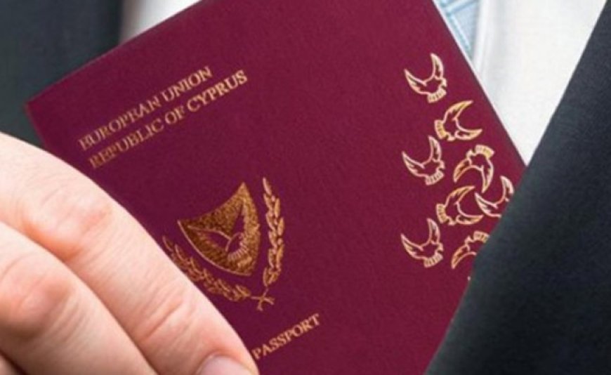 Son 10 yılda verilen pasaport sayısı 30 bin
