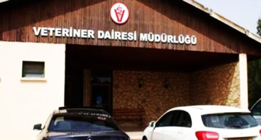 Veteriner Dairesi’nden küçükbaş hayvan üreticilerine beyan uyarısı: Son tarih 30 Haziran