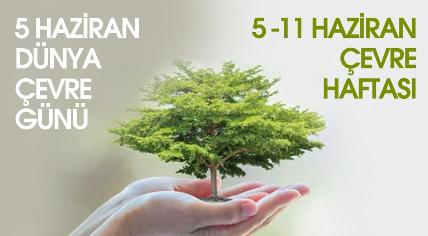 Ayluga Doğal Yaşam Projesi Koordinatörlüğü'nden 5 Haziran Dünya Çevre Günü mesajı...