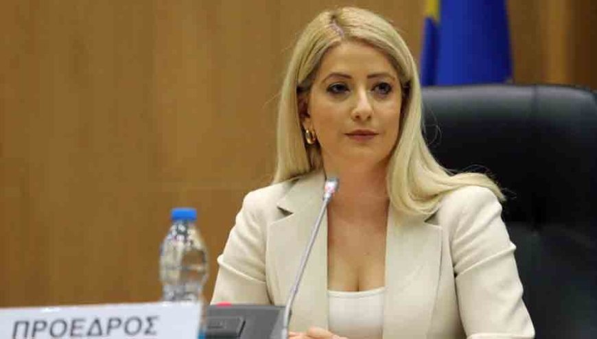 Dimitriu Almanya Büyükelçisi Slim ile görüştü