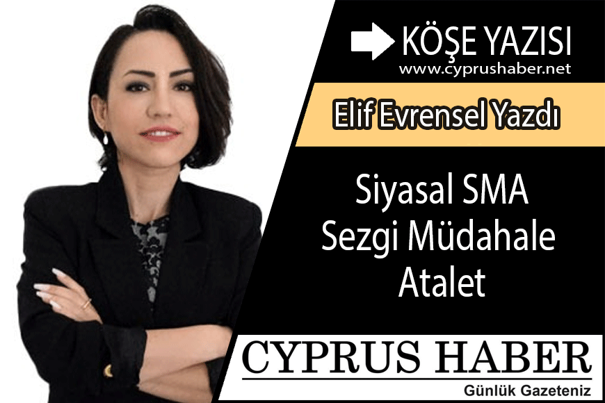 Siyasal SMA - Sezgi Müdahale Atalet
